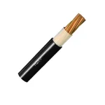 CABLE N2XY
